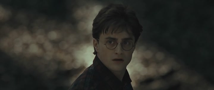 Harry Potter and the Deathly Hallows, Part 1 (2010)